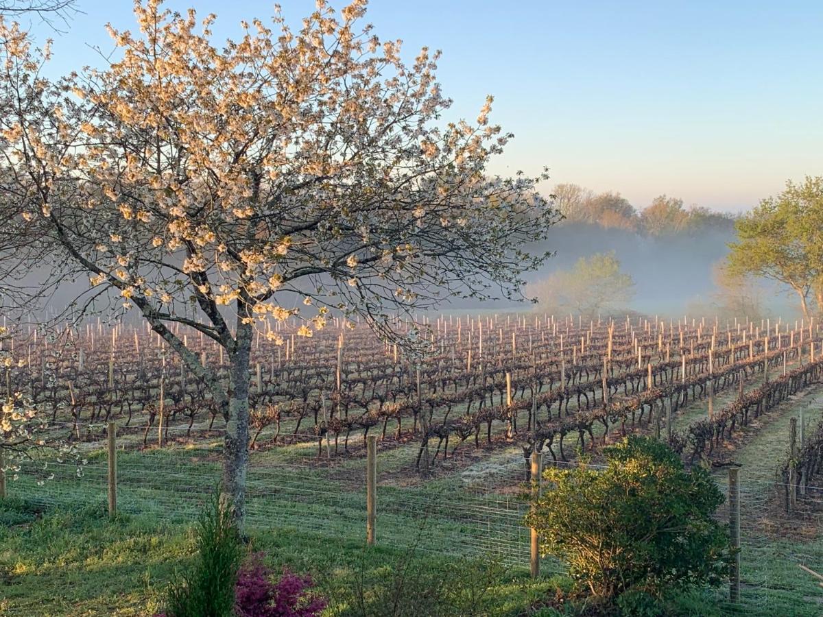 Lauberge De Nogaro Caupenne-d'Armagnac Exterior foto